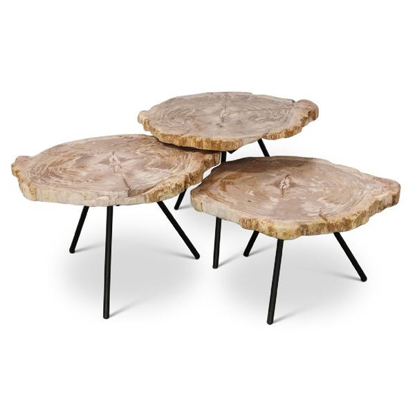 Urbia Relique Nesting Coffee Table Perigold